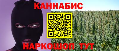 сатива Славгород