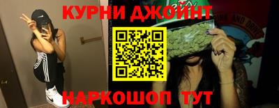 сатива Славгород