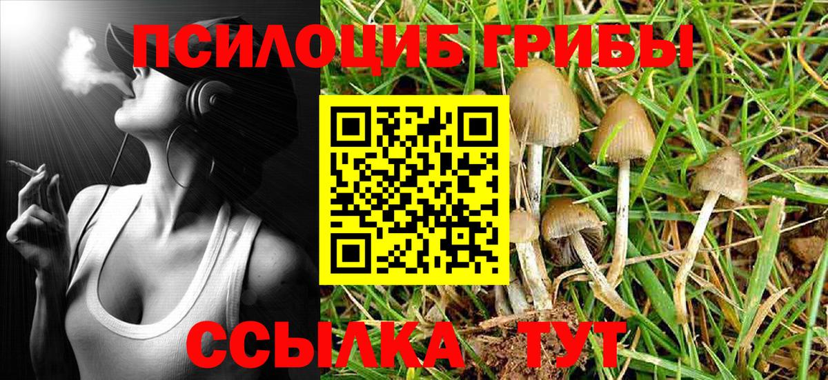 Псилоцибиновые грибы MAGIC MUSHROOMS  Вход с VPN  Галлюциногенные грибы мицелий  наркотики  Ногинск 