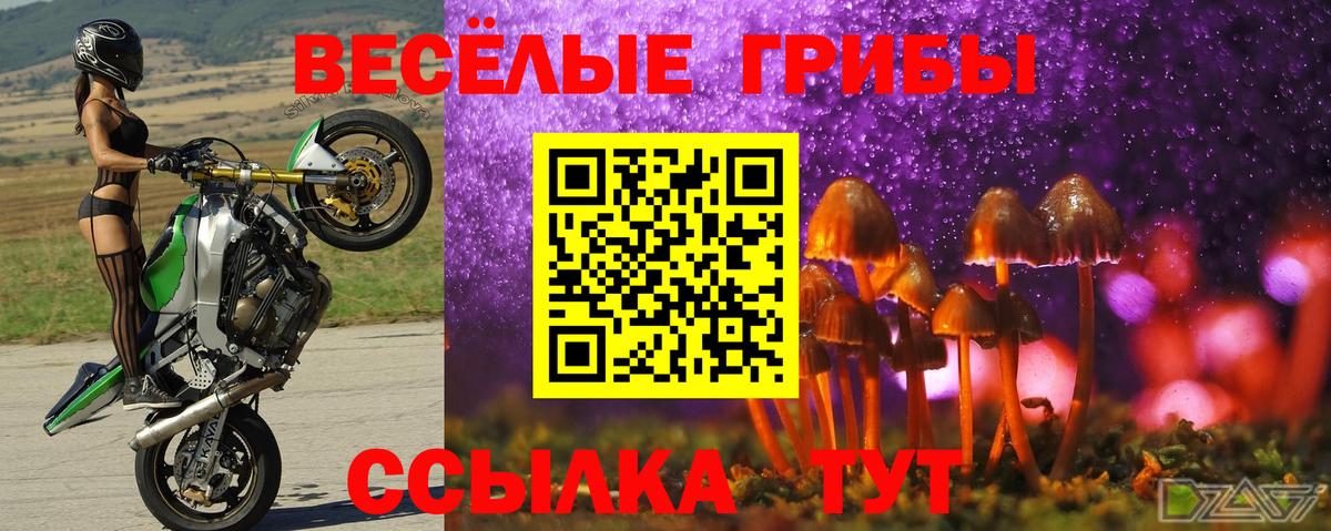 Где купить наркотики?  Кодеин  ГАШ  Марихуана  Гашиш  Метамфетамин  Меф кристаллы  Бошки Шишки  Ногинск  COCAIN  Вход с VPN 