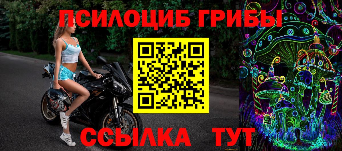 Псилоцибиновые грибы мухоморы Ногинск